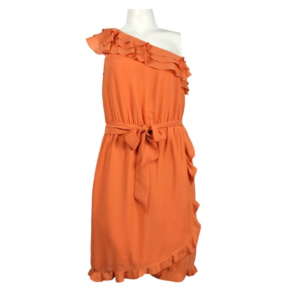 Jessica Simpson Dresses & Skirts - Off Should Ruffle Day Dress (JS2A3854/RUST)